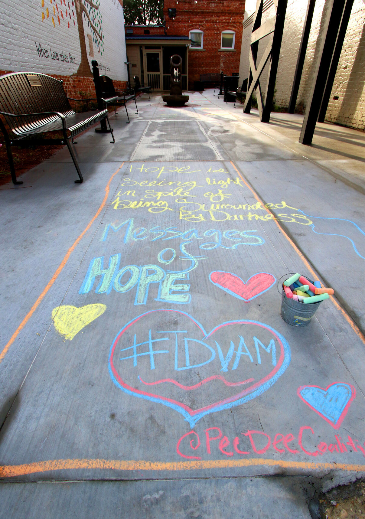 Pee Dee Coalition Hope pic1